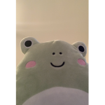 Your local dummys uwu