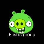 Elish's Group