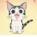 team gatito kawaii