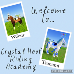 ~|~Crystal Hoof Riding Academy~|~