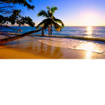 Paradies