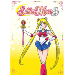 Sailor Scout Group