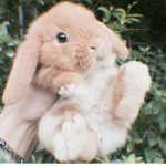 ~*Little Beans~*