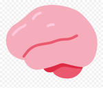 Smooth Brain Society