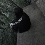L4ZER ARCHIVE