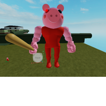 Piggy testing