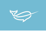 Narwhal Fandoms