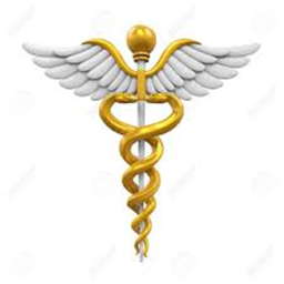 Medical Bay