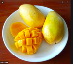 The Mango juice team