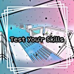 Test Your Skills