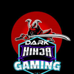dark_ninja gaming