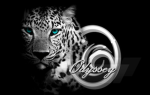 Odyssey Clothing Group