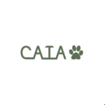 CATA - Roblox