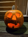 The Pumpkin's Patch