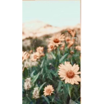 Random thing I call it :)