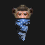 epic monkey gamers