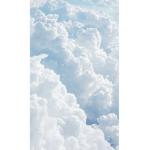 ChiCloud Vibes