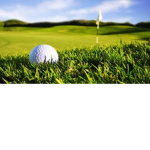 VenomZ Golfers