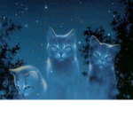 Cats Fan Group By graicethecatisfa111
