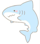 ~サメ組~
