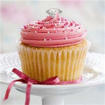 The Cupcake Queen