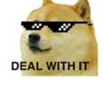 Doge Support Group