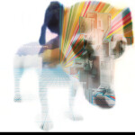 Shoegaze Obby
