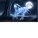 Polar Horse Adoptions