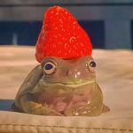 ~ Frogs N Foxes ~ UNITE >