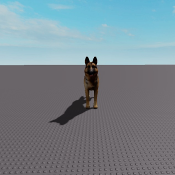 German Shepherd