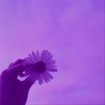 Purple Dreams Club
