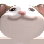 Cat happy tree