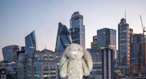 Bunny City