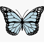 …Butterfly Group