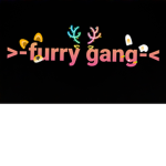 Furrys gang