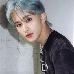 ✧ icon