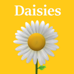 Daisies Club