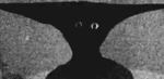 /\/oob shirts and t-shirts