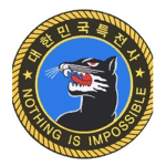 13th Special Missions Brigade