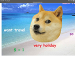 doge group fan :0
