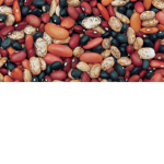 Beans, incorporated