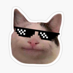 aestxlla