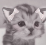 Shiro'