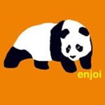 Enjoi Skateboards