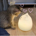 Cwuubiee
