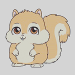 Squirrel is kool