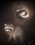 All animals matter