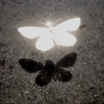 ʚɞ