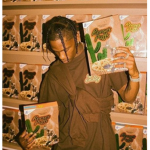 fanstah