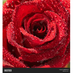 Cherry62710